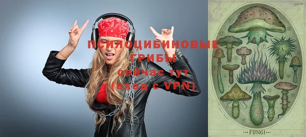 эйфоретик Белокуриха